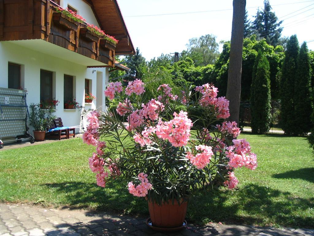 Sommer Panzio Balatonföldvár Екстериор снимка